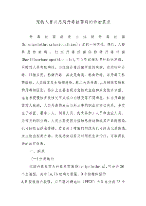 宠物人兽共患病丹毒丝菌病的诊治要点.docx