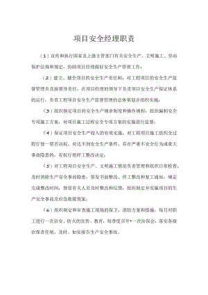 项目安全经理职责模板范本.docx