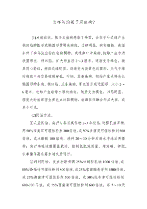 怎样防治瓠子炭疽病.docx