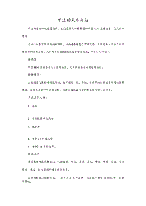 甲流的基本介绍.docx