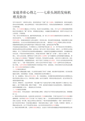 家庭养彩心得.docx