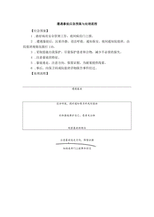 遭遇暴徒应急预案与处理流程.docx