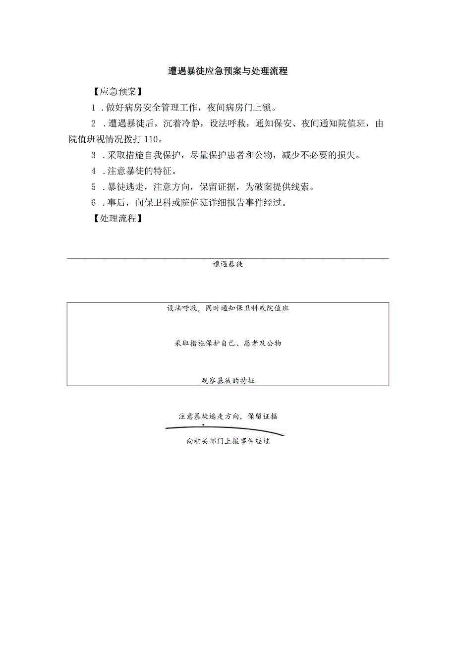 遭遇暴徒应急预案与处理流程.docx_第1页