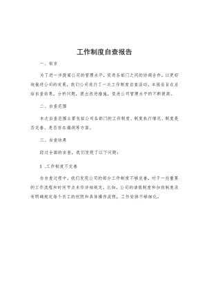 工作制度自查报告.docx