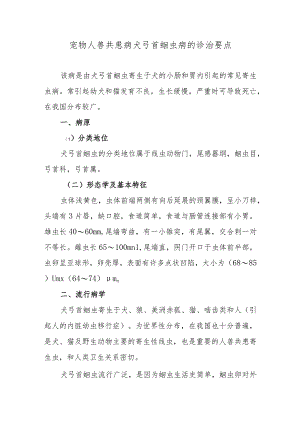 宠物人兽共患病犬弓首蛔虫病的诊治要点.docx