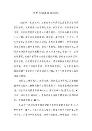 怎样防治莴苣菌核病.docx