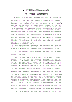 学习贯彻党的二十大精神心得体会.docx