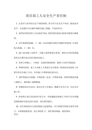 项目部工人安全生产责任制模板范本.docx