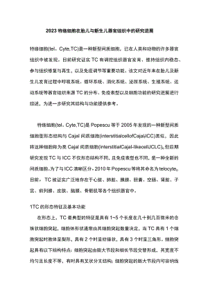 2023特络细胞在胎儿与新生儿器官组织中的研究进展.docx