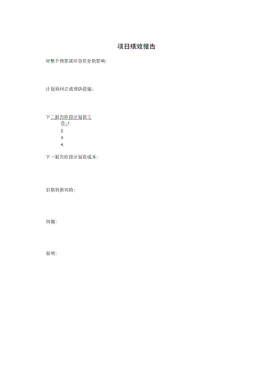 项目绩效报模板.docx