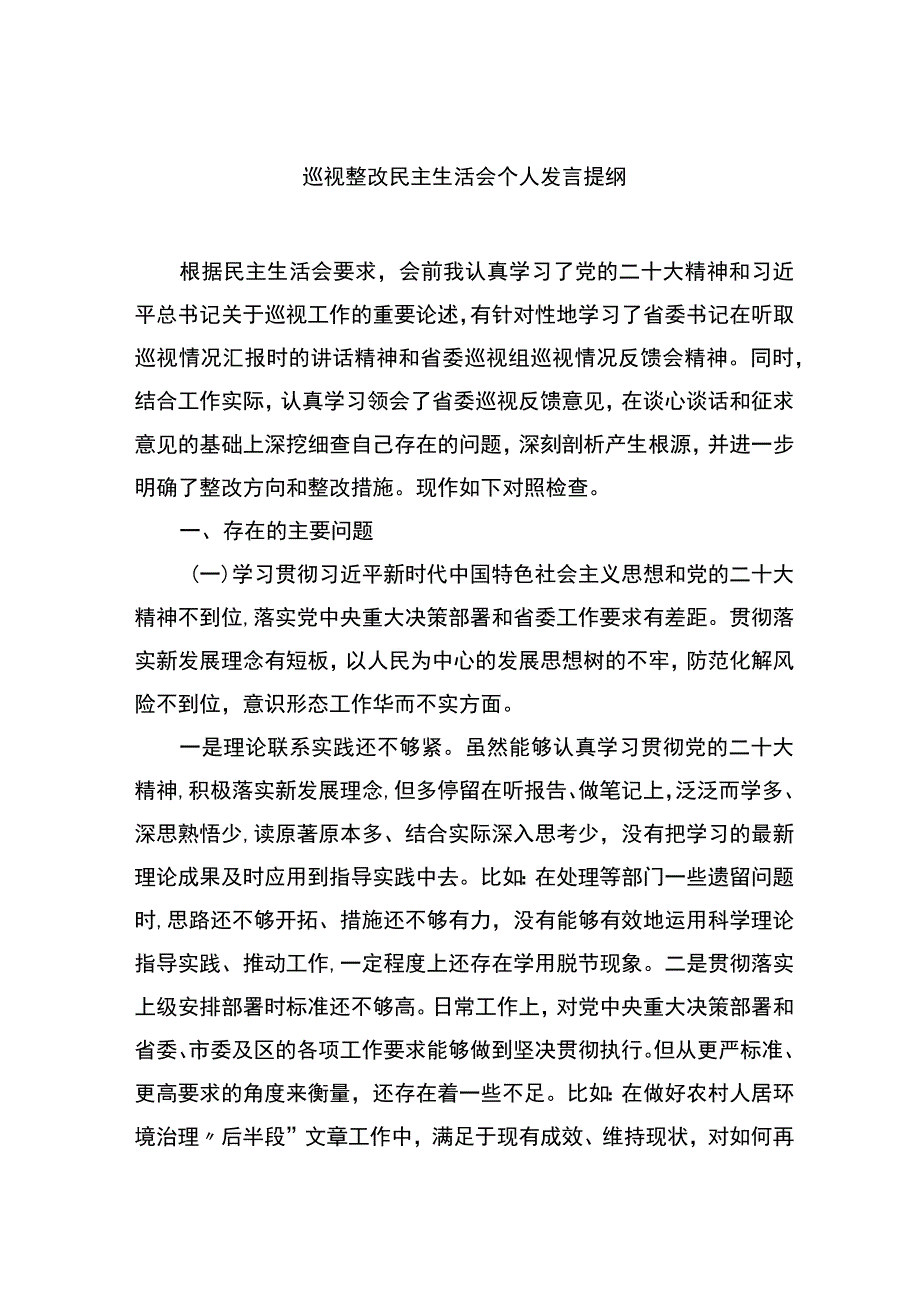 巡视整改民主生活会个人发言提纲.docx_第1页