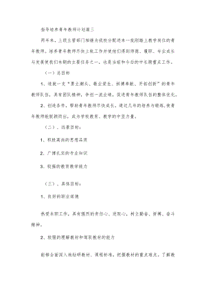 指导培养青年教师计划篇三.docx