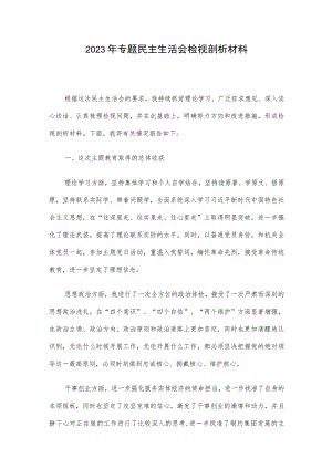 2023年专题民主生活会检视剖析材料.docx