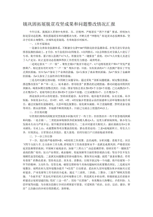 镇巩固拓展脱贫攻坚成果和问题整改情况汇报.docx