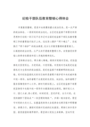 2023全国纪检监察干部队伍教育整顿心得体会(八篇).docx