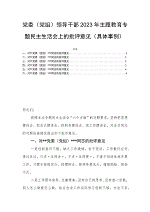 党委（党组）领导干部2023年主题教育专题民主生活会上的批评意见（具体事例）.docx