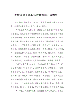 纪检监察干部队伍教育整顿的学习心得体会(八篇).docx