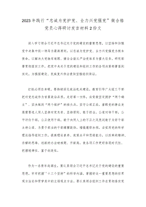 2023年践行“忠诚为党护党、全力兴党强党”做合格党员心得研讨发言材料2份文.docx