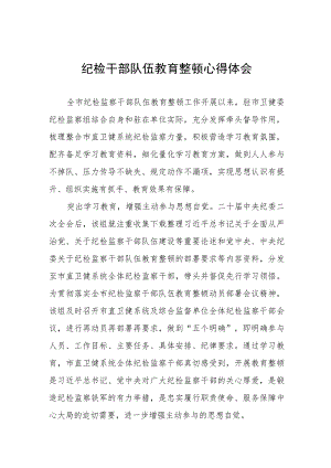 2023年纪检监察干部队伍教育整顿心得体会研讨发言材料(八篇样本).docx