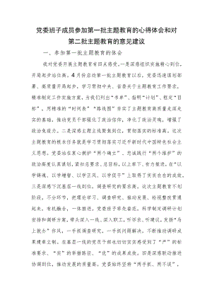 党委班子成员参加2023年第一批主题教育的心得体会和对第二批主题教育的意见建议.docx
