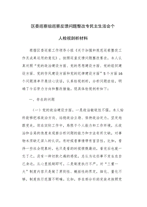 巡察组巡察反馈问题整改专民主生活会个人检视剖析材料范文2篇.docx