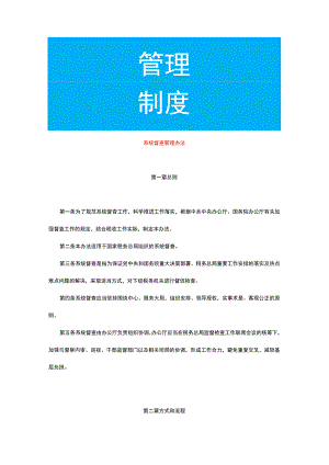 系统督查管理办法.docx