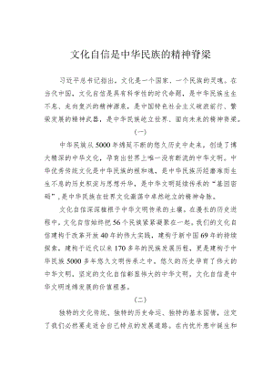 文化自信是中华民族的精神脊梁.docx