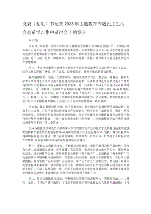 党委（党组）书记在2023年主题教育专题民主生活会会前学习集中研讨会上的发言.docx