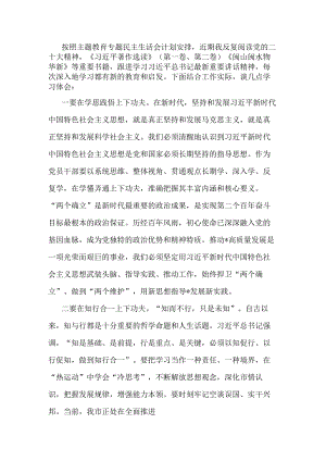 2023年度主题教育专题民主生活会会前研讨发言材料.docx