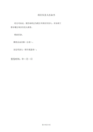 项目负责人任命书49（2023年）.docx