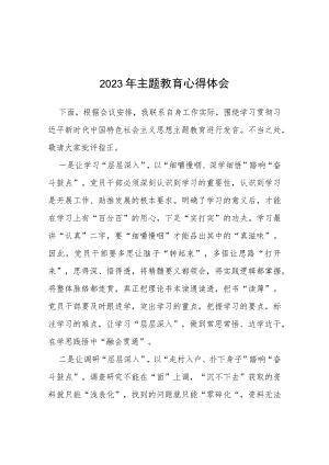 2023年主题教育的心得体会(五篇).docx