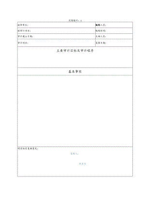 竣工财务决算审计工作底稿空白模板.docx