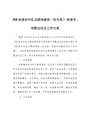 XX街道农村乱占耕地建房（住宅类）房屋专项整治试点工作方案.docx