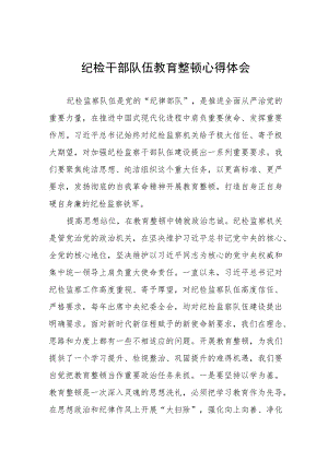 2023纪检干部队伍教育整顿学习体会范文(八篇).docx