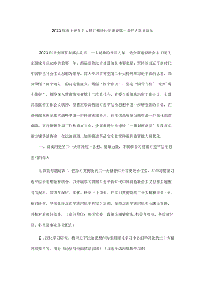 药品监管2023年度主要负责人履行推进法治建设第一责任人职责清单.docx
