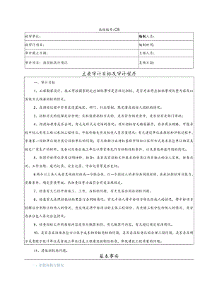 竣工财务决算审计工作底稿-招投标执行情况.docx