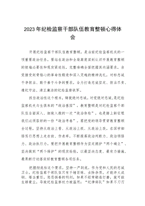 2023纪检干部队伍教育整顿学习心得(八篇).docx