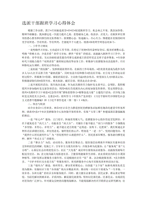 选派干部跟班学习心得体会.docx