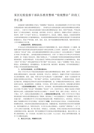 某区纪检监察干部队伍教育整顿“检视整治”阶段工作汇报.docx