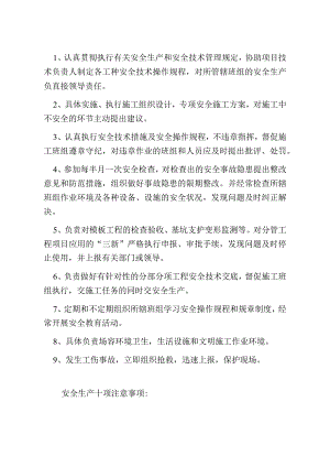项目施工员安全生产责任制范文.docx