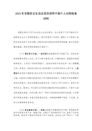 2023年专题民主生活会党员领导干部个人对照检查材料.docx