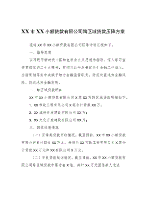 XX小额贷款有限公司跨区域贷款压降方案.docx