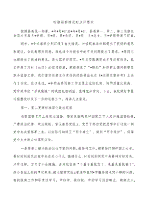 听取巡察情况时点评要求.docx