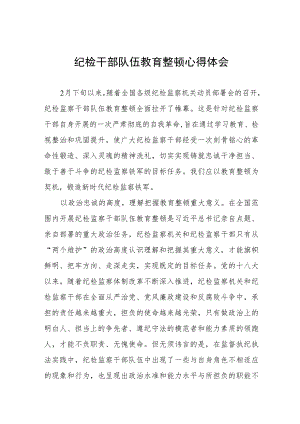 2023纪检干部队伍教育整顿心得体会研讨发言(八篇).docx