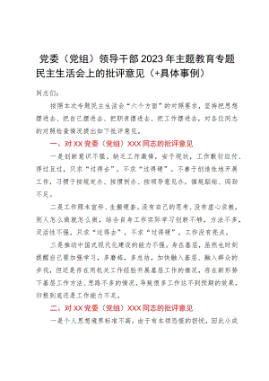 党委（党组）领导干部2023年主题教育专题民主生活会上的批评意见.docx