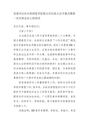 党委书记在共青团某学院第五次代表大会开幕式暨第一次全体会议上的讲话.docx