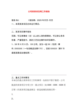 公司某项目周工作报告模板.docx