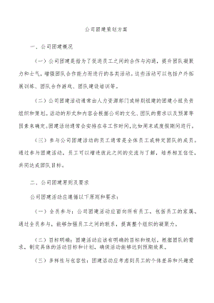 公司团建策划方案.docx