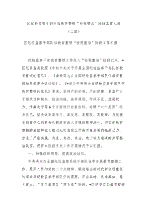 区纪检监察干部队伍教育整顿“检视整治”阶段工作汇报(二篇).docx
