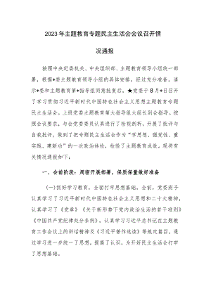 两篇：2023年主题教育专题民主生活会会议召开情况通报.docx